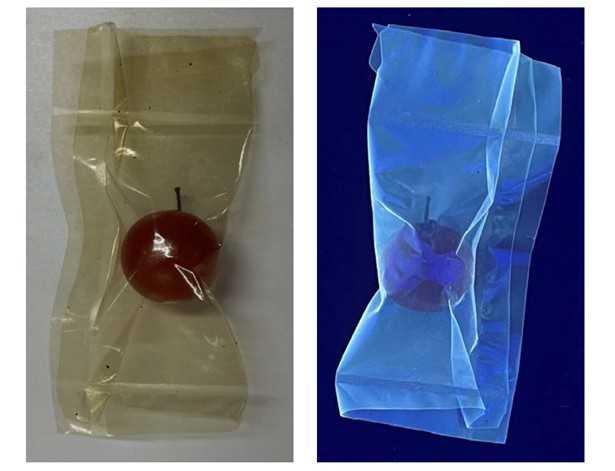Fig.2